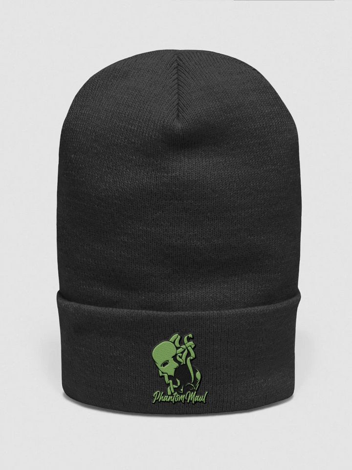 Kiwi Green Logo Beanie product image (1)