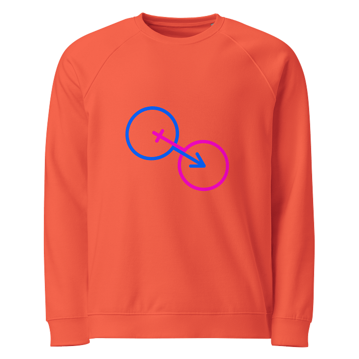 Traditional Relationship Power Organic Raglan Sweatshirt product image (1)