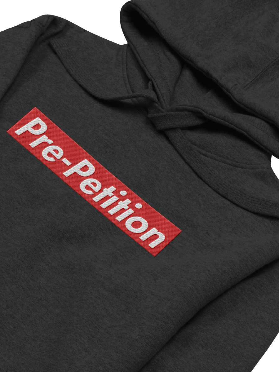 Pre-Petition - Hoodie product image (3)