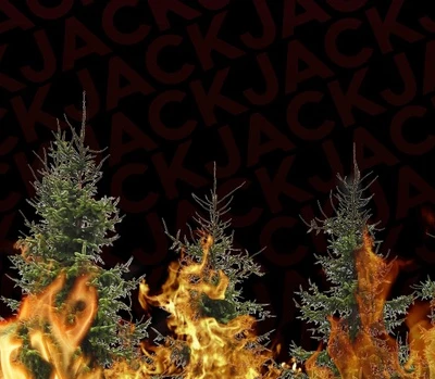 Audio thumbnail