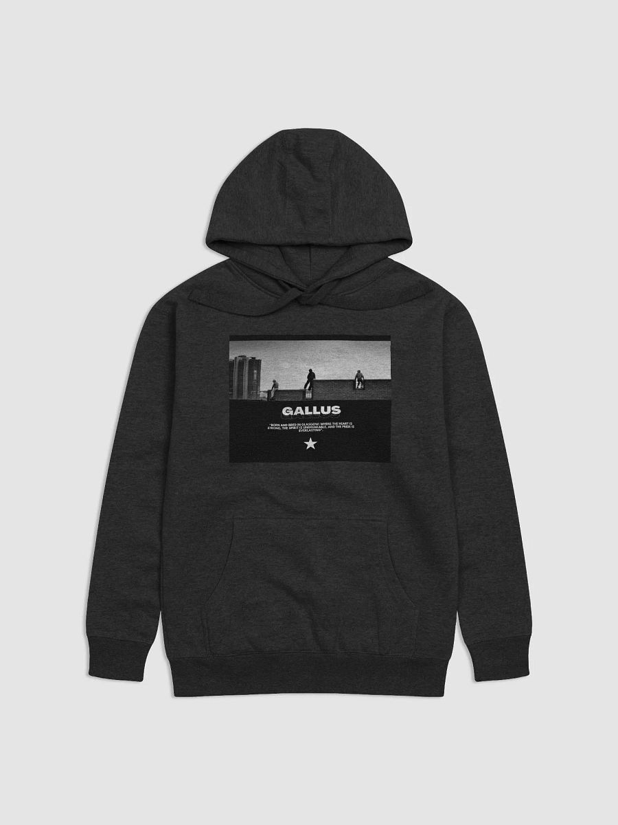 Gallus Hoodies product image (1)