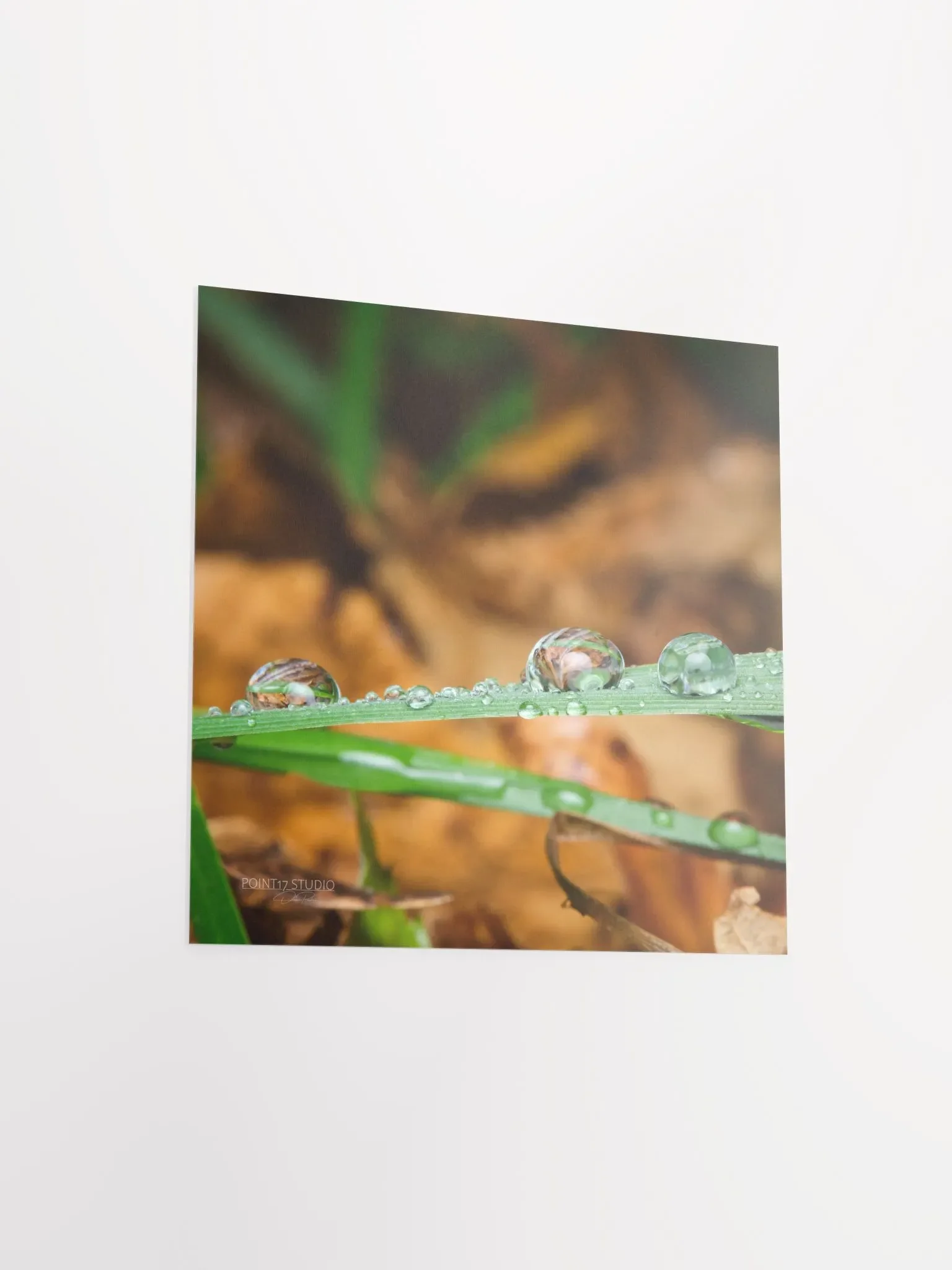 Dew Gems #11 - Print product image (9)