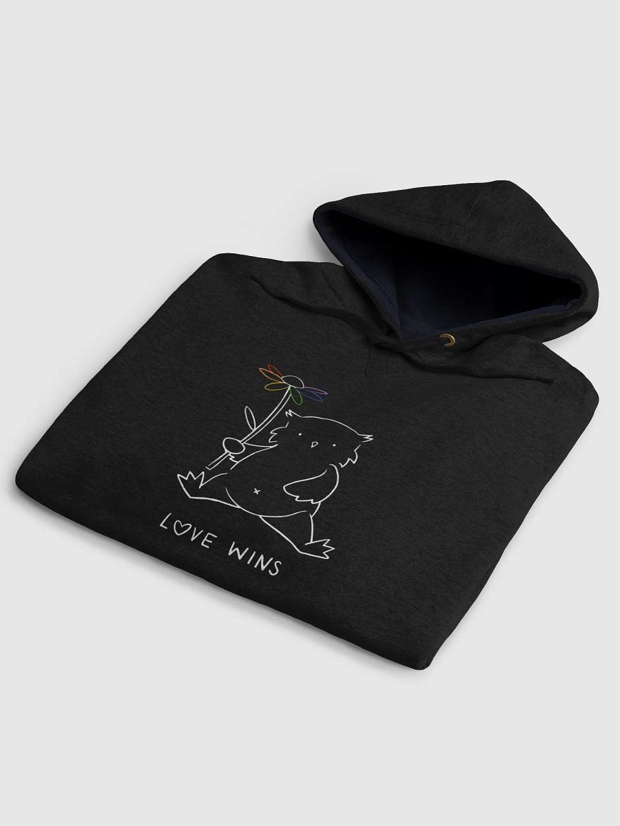 Love Wins Champion Cotton Max Hoodie (Black) product image (9)