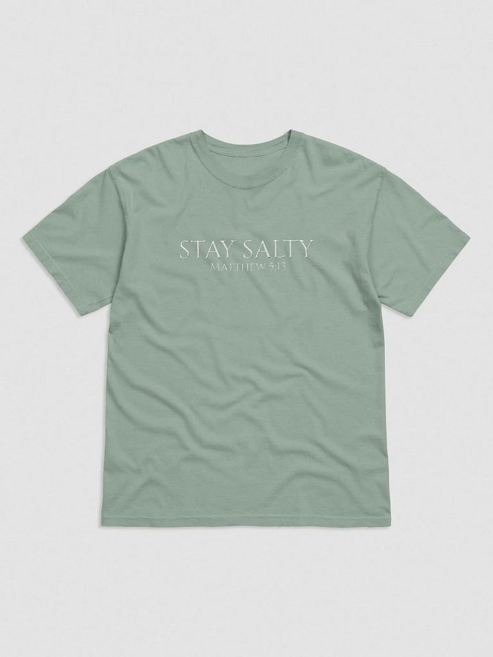 Stay Salty Embroidered T-Shirt product image (1)