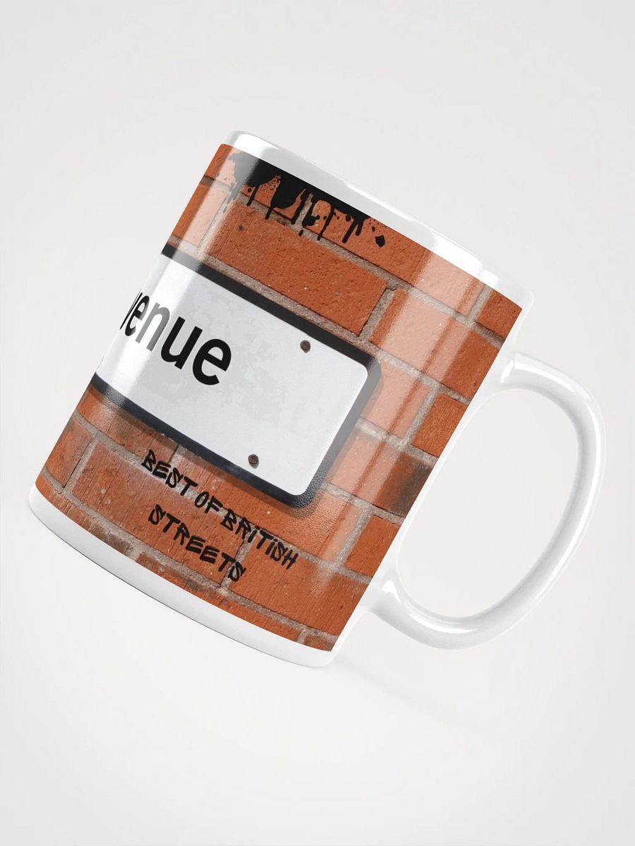 Fanny Avenue Killamarsh Mug - Rude British Street Names product image (5)