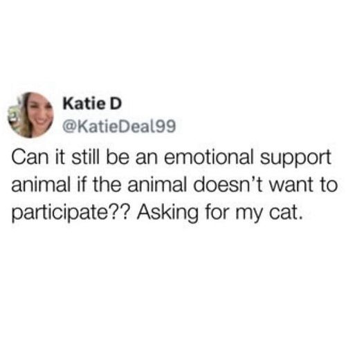 this is my emotional support hell demon I love him more than life itself