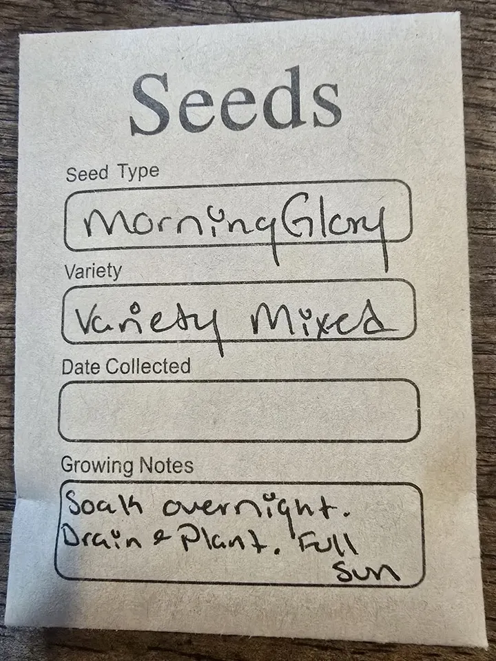SEEDS! Updated! product image (1)