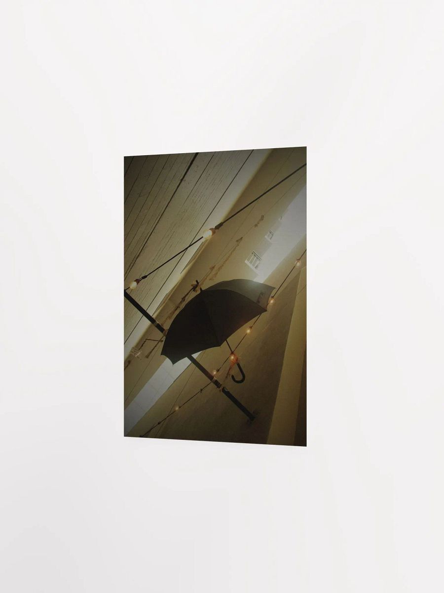 Hanging Umbrella 6 product image (25)