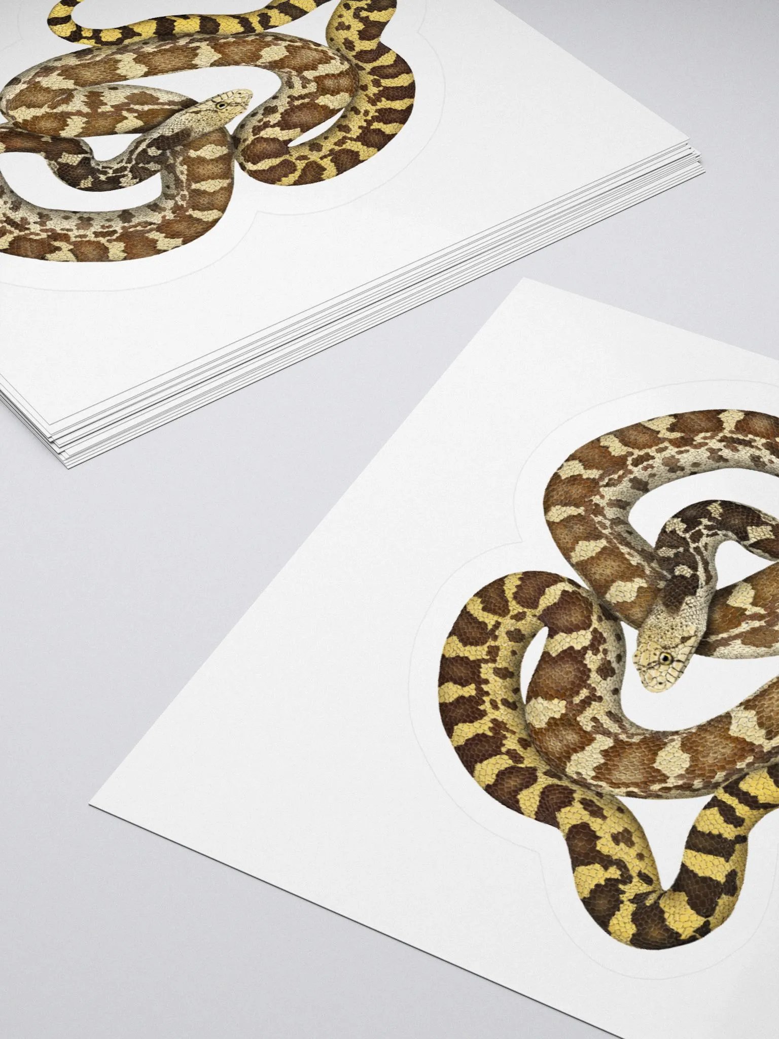 Die-Cut Sticker – Sonoran Gophersnake product image (4)