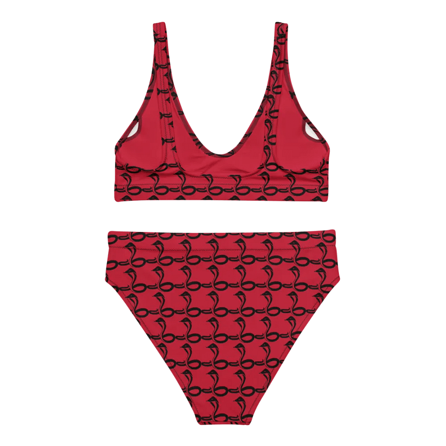 Red Radiance Recycled Bikini Set product image (2)