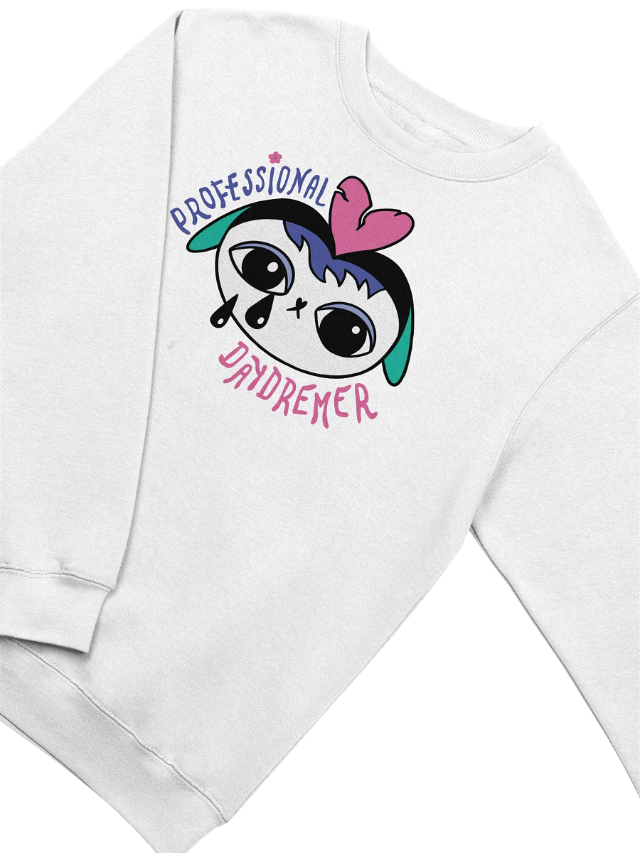 WLS Sweatshirt with print ' Profesional Dreamer" product image (4)