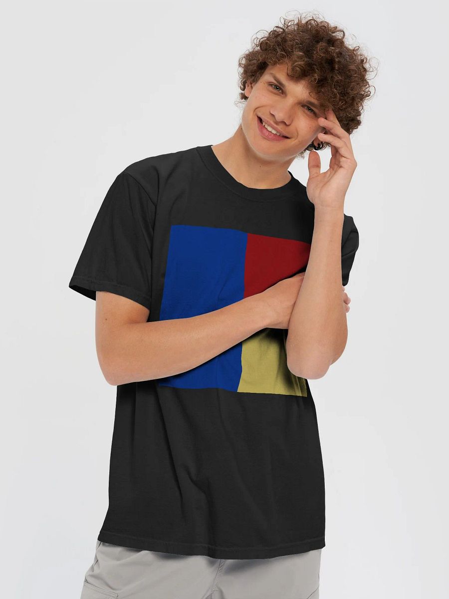 The Style: Heavyweight Cotton T-Shirt product image (5)