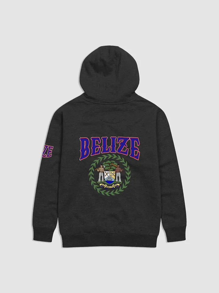 Team Belize Premium Hoodie product image (16)