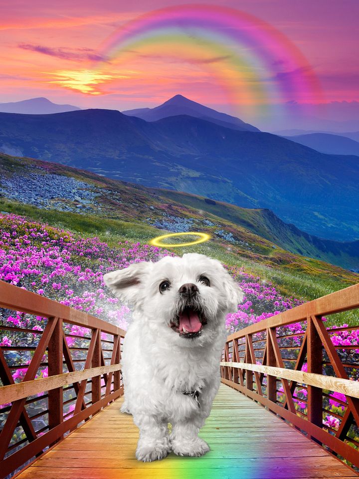 Rainbow Bridge Custom Portrait product image (1)