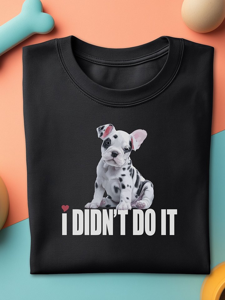 😒 I DIDN’T DO IT product image (1)