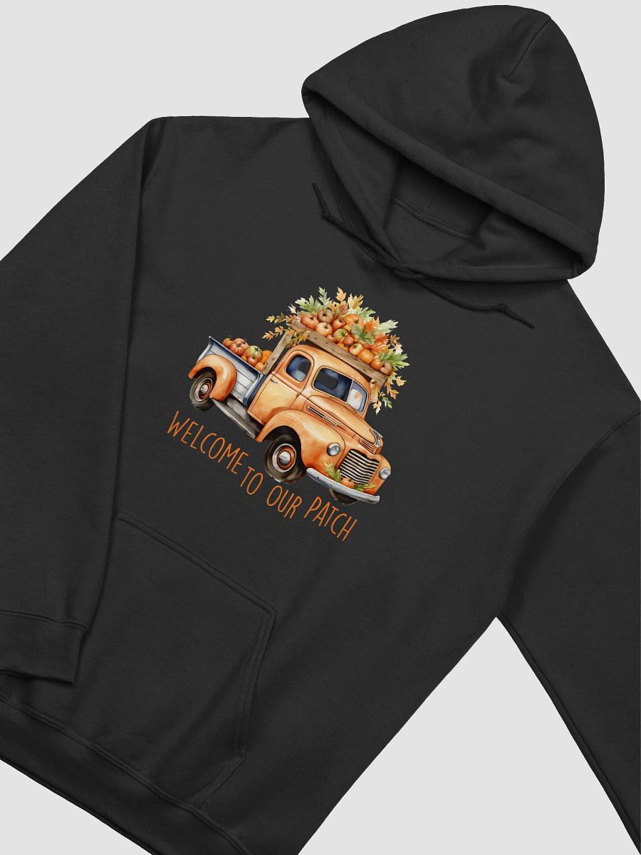 Welcome To Our Patch Hoodie product image (3)