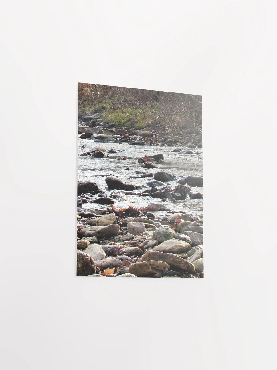 NC River Stream 2 product image (36)