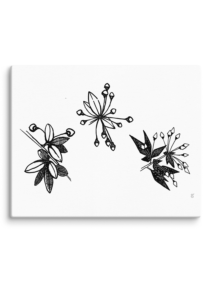 Blank Canvas Masterpieces - Stylized Plants product image (2)