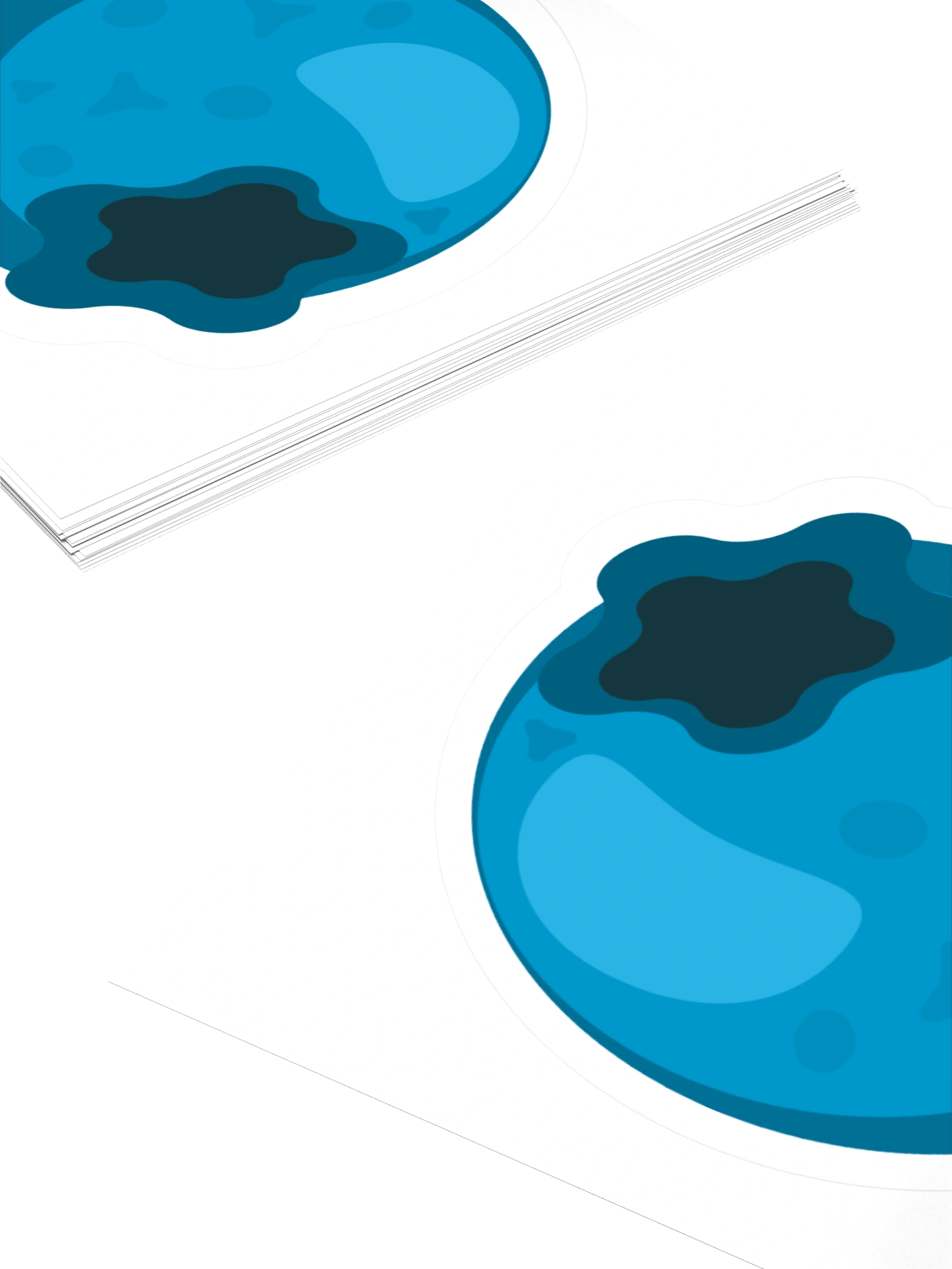 Blueberry product image (4)