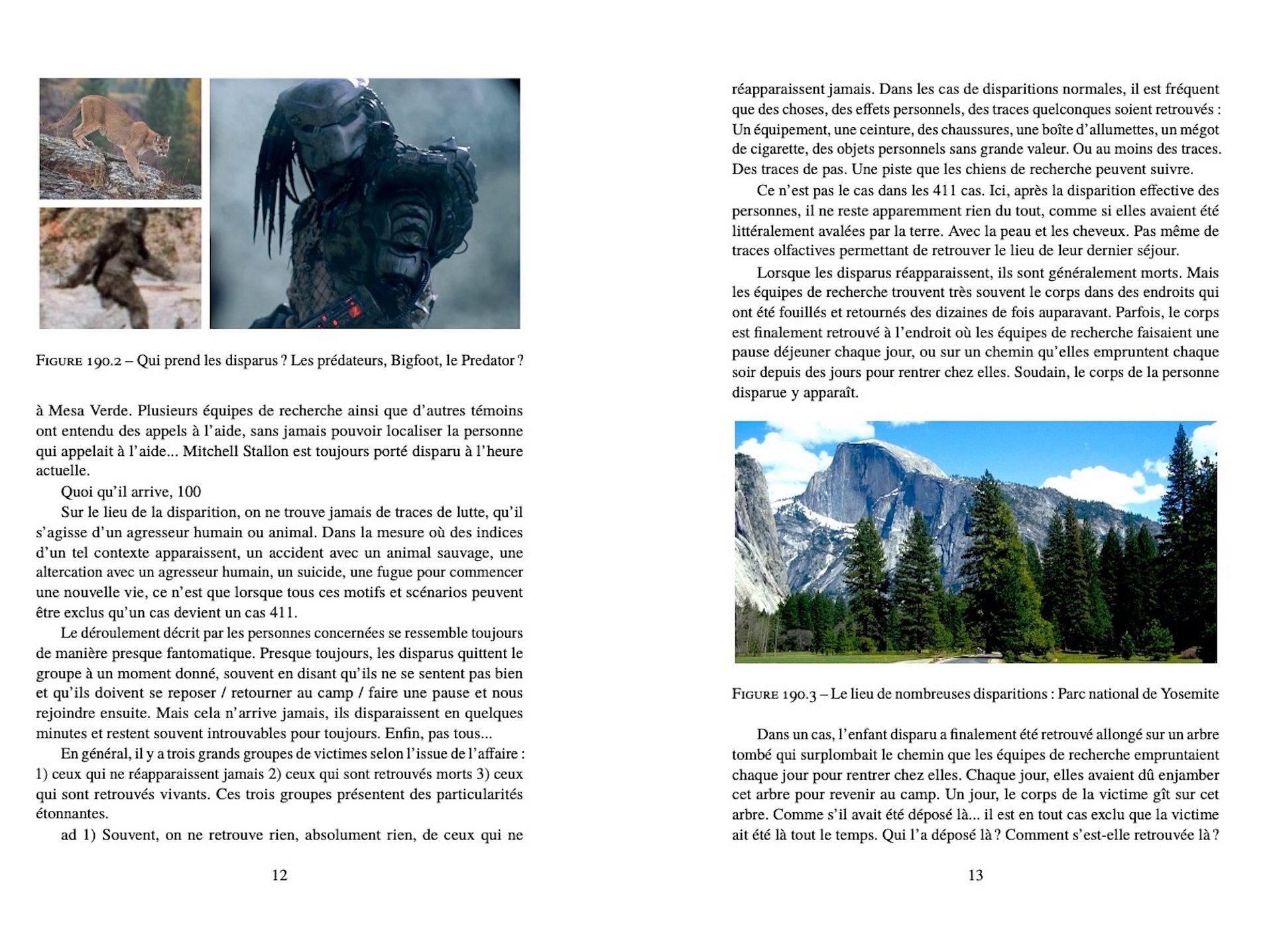 Personnes Disparues - Le plus effrayant «Missing 411» cas - pdf product image (4)