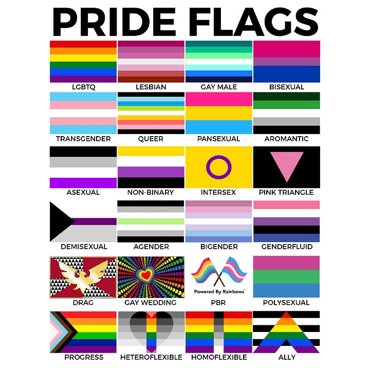 Pride Flags Poster product image (1)