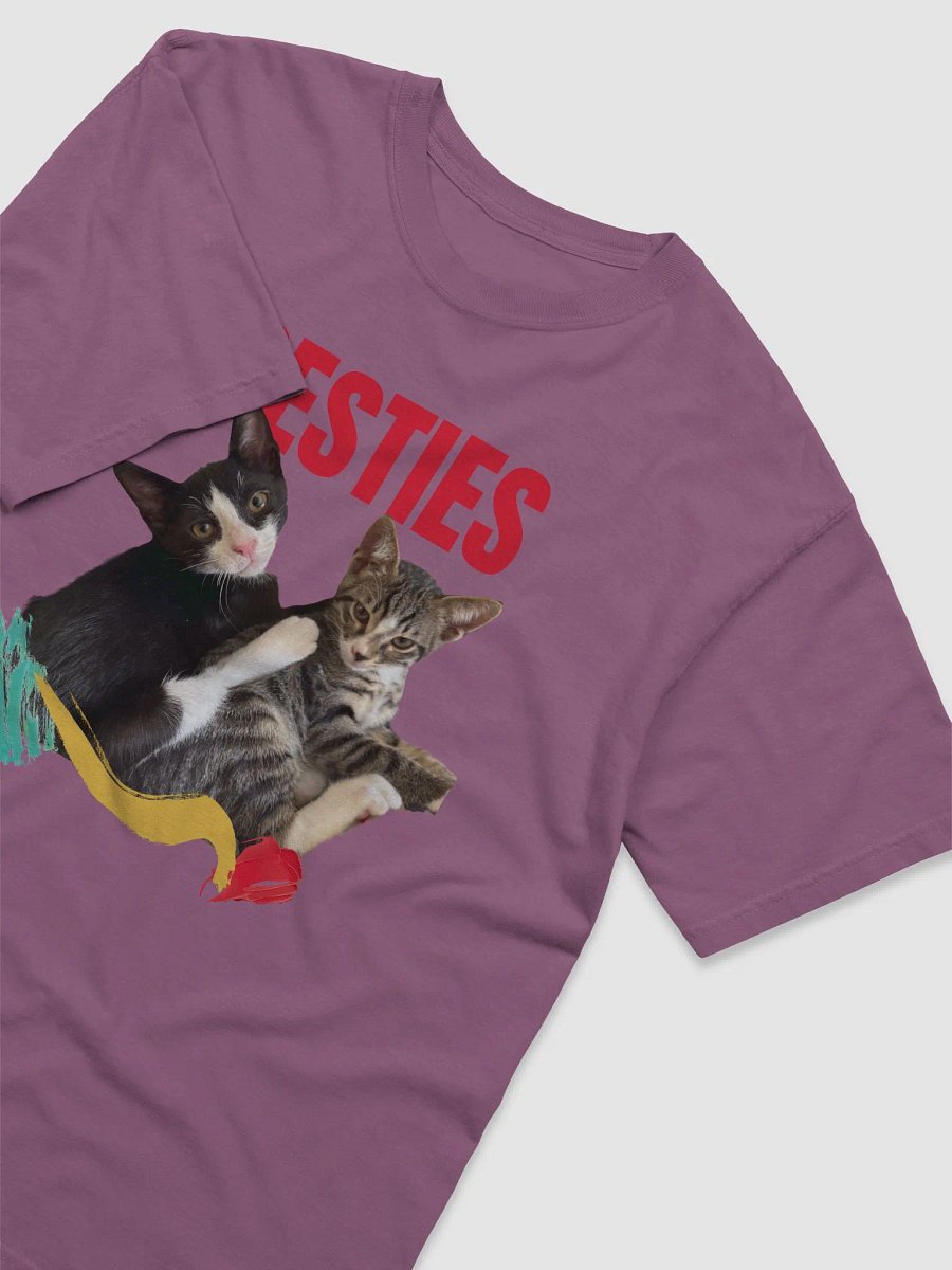 Besties Embrace T-Shirt product image (30)