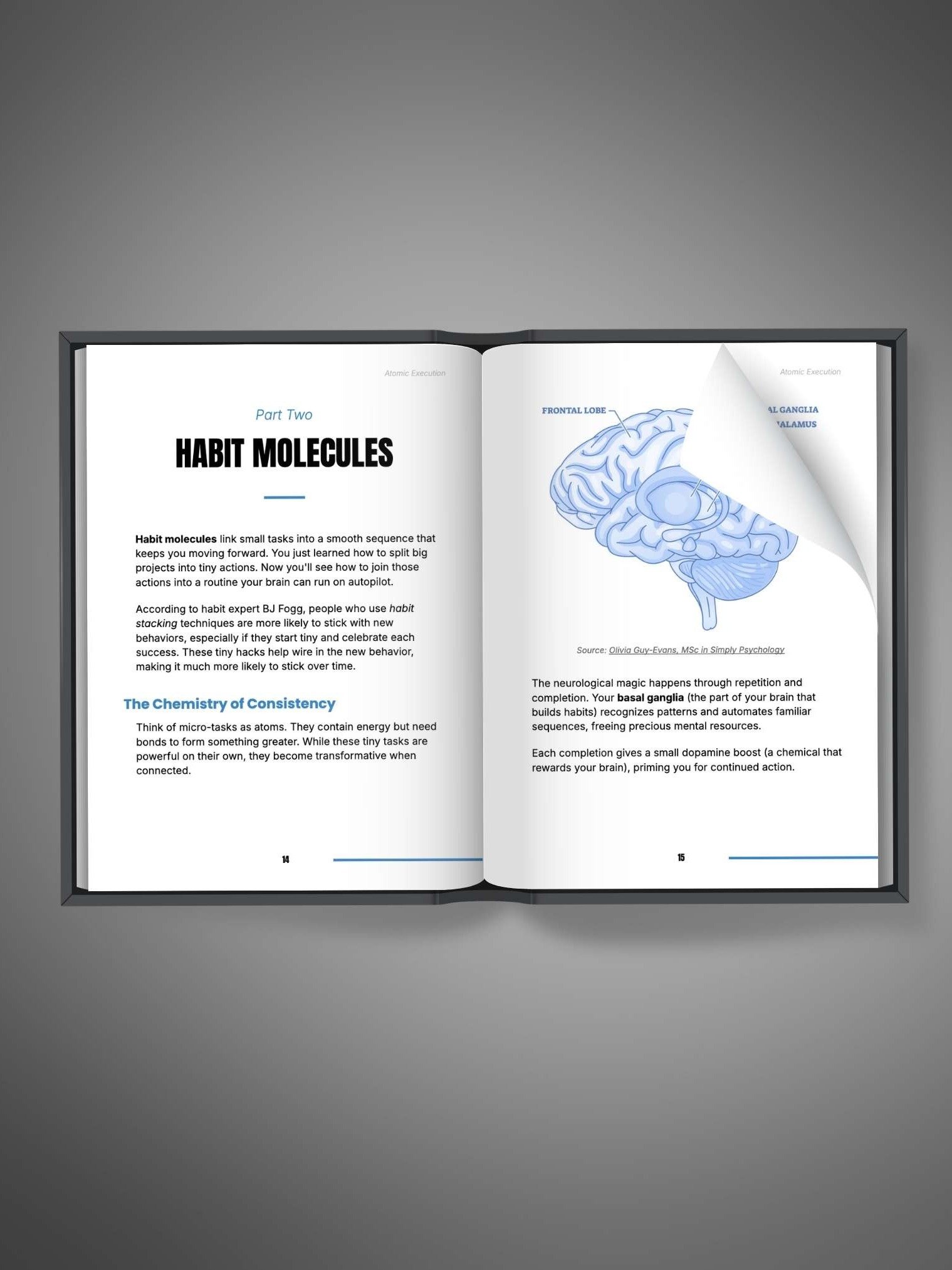 Atomic execution product image (2)