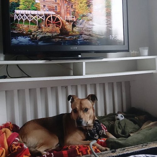 Vandaag lekker een dagje relaxen, en samen een documentaire kijken. Rutger is bij een Batman marathon, dus we hebben het huis...