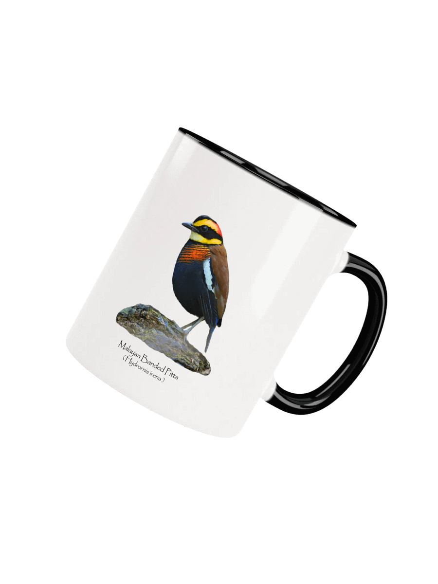 Malayan Banded Pitta mug product image (34)
