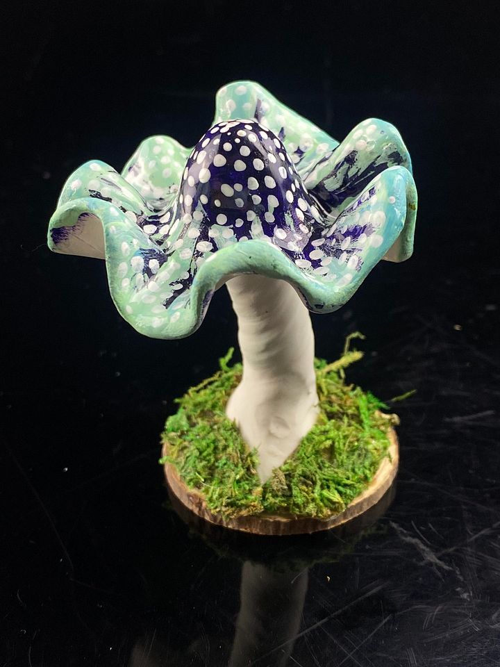 Snowcap Mushroom product image (1)