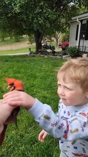 Boy say shit credit Video @dakken_morris 💩 🤣🤣 #funnyvideos #funnymemes #wow