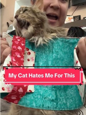 Things we do for our parents… but for real… have you seen the One Book cover to Rule Them All sewing pattern yet? #catsoftiktok #sewingtiktok #sewing #patterns #tutorials #learntosew #booktok #sewingforbooks #bookcover 