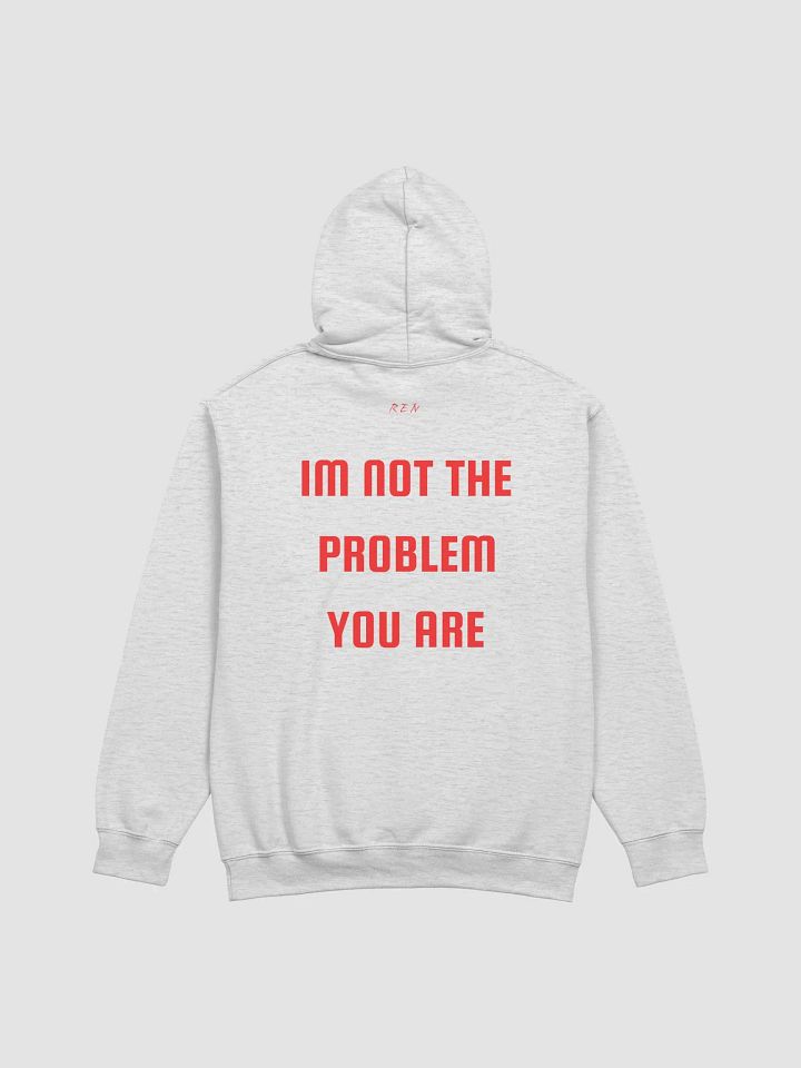 not the problem hoodie product image (1)