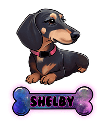 Shelby