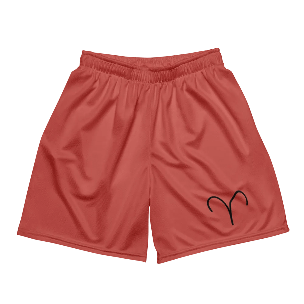 Aries Symbol Recycled Mesh Shorts product image (2)
