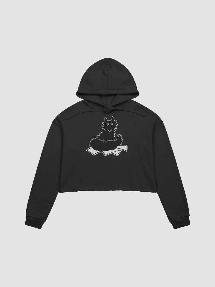 my DOCUMENTS fleece crop hoodie product image (2)