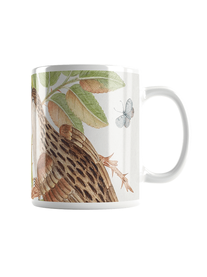 Whimsical Aviary Mug product image (1)