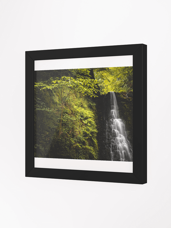 Falling Foss Sapling product image (8)