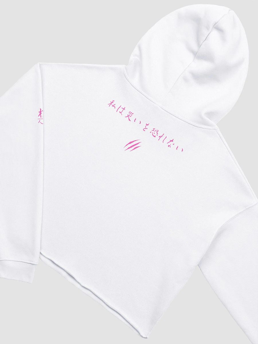 NO FEAR - BC Fleece Crop Hoodie product image (4)