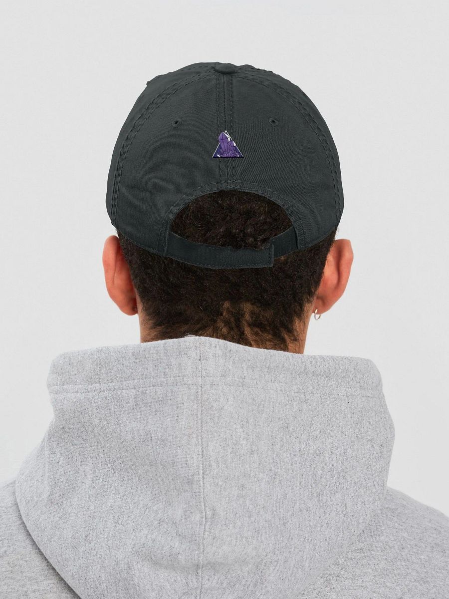 I Like Rocks Distressed Dad product image (2)
