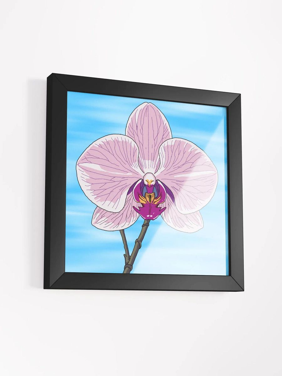 orchid product image (3)