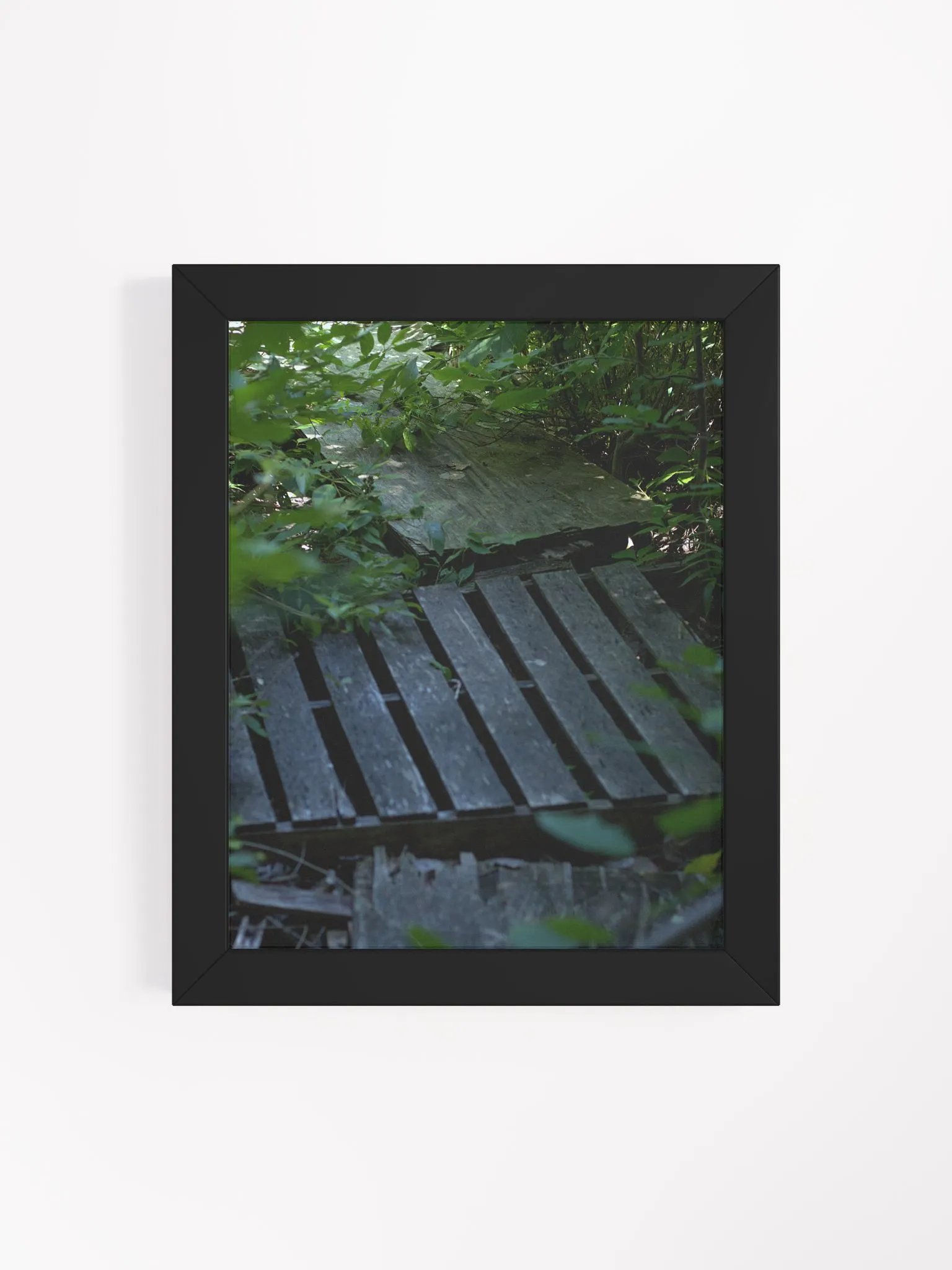 Plank (framed) product image (19)