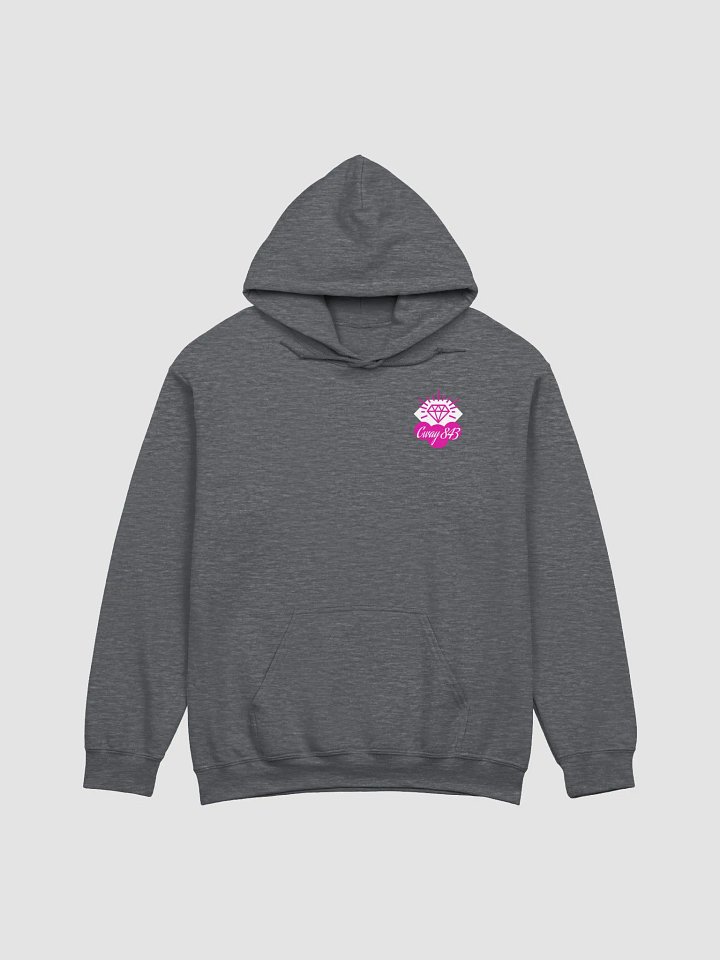 Facts Hoodie product image (2)