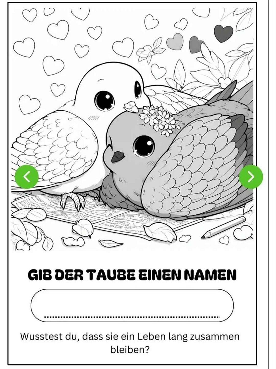 Taubenmalbuch mit Taubeninfos product image (3)