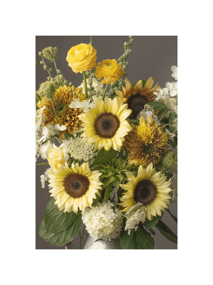 White Sunflower Summer product image (1)