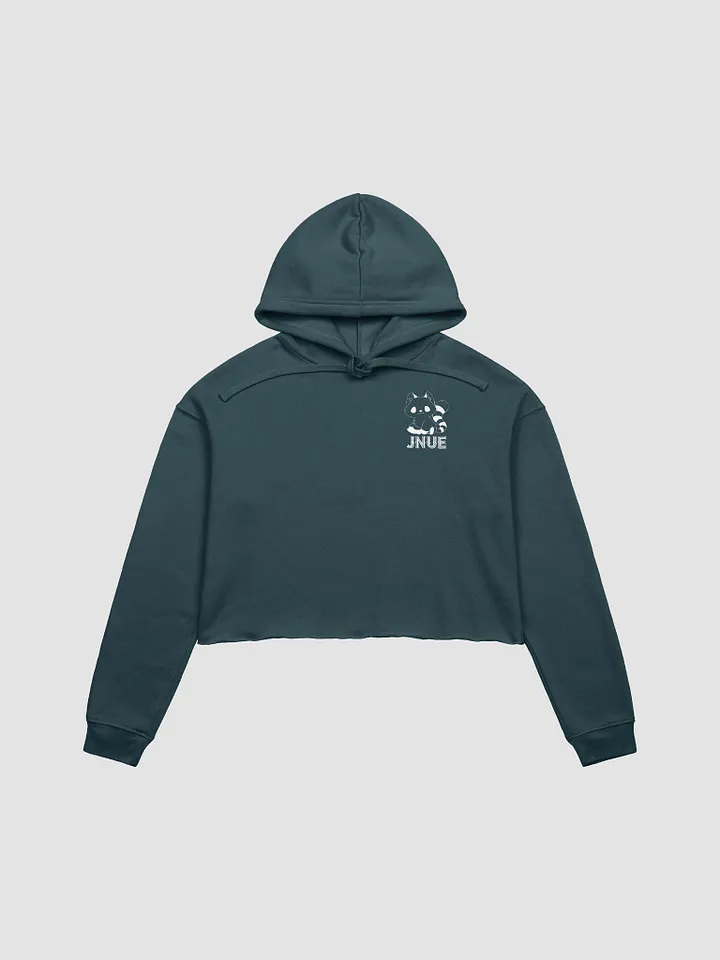 Crop Top Hoodie product image (1)