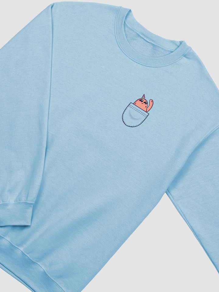 g_birb in my pocket sweatshirt! product image (9)