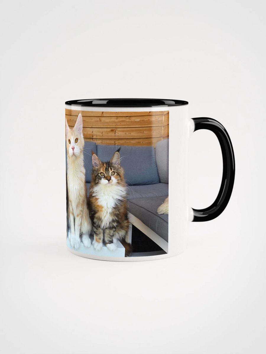 4 Generations - Mug With Color product image (3)