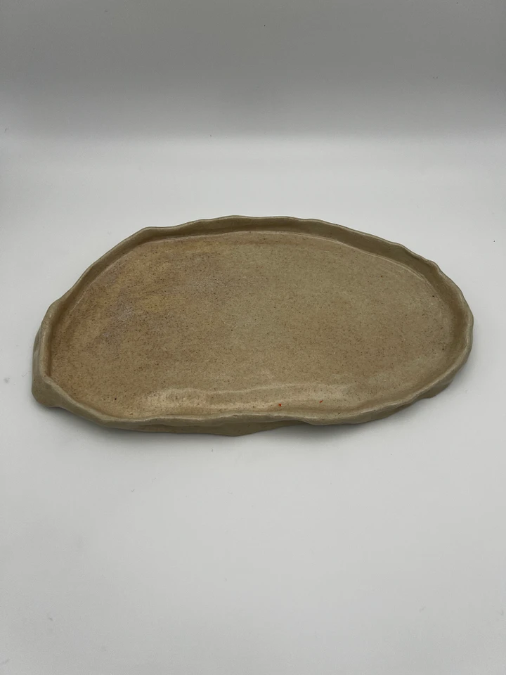 That Dish. product image (2)
