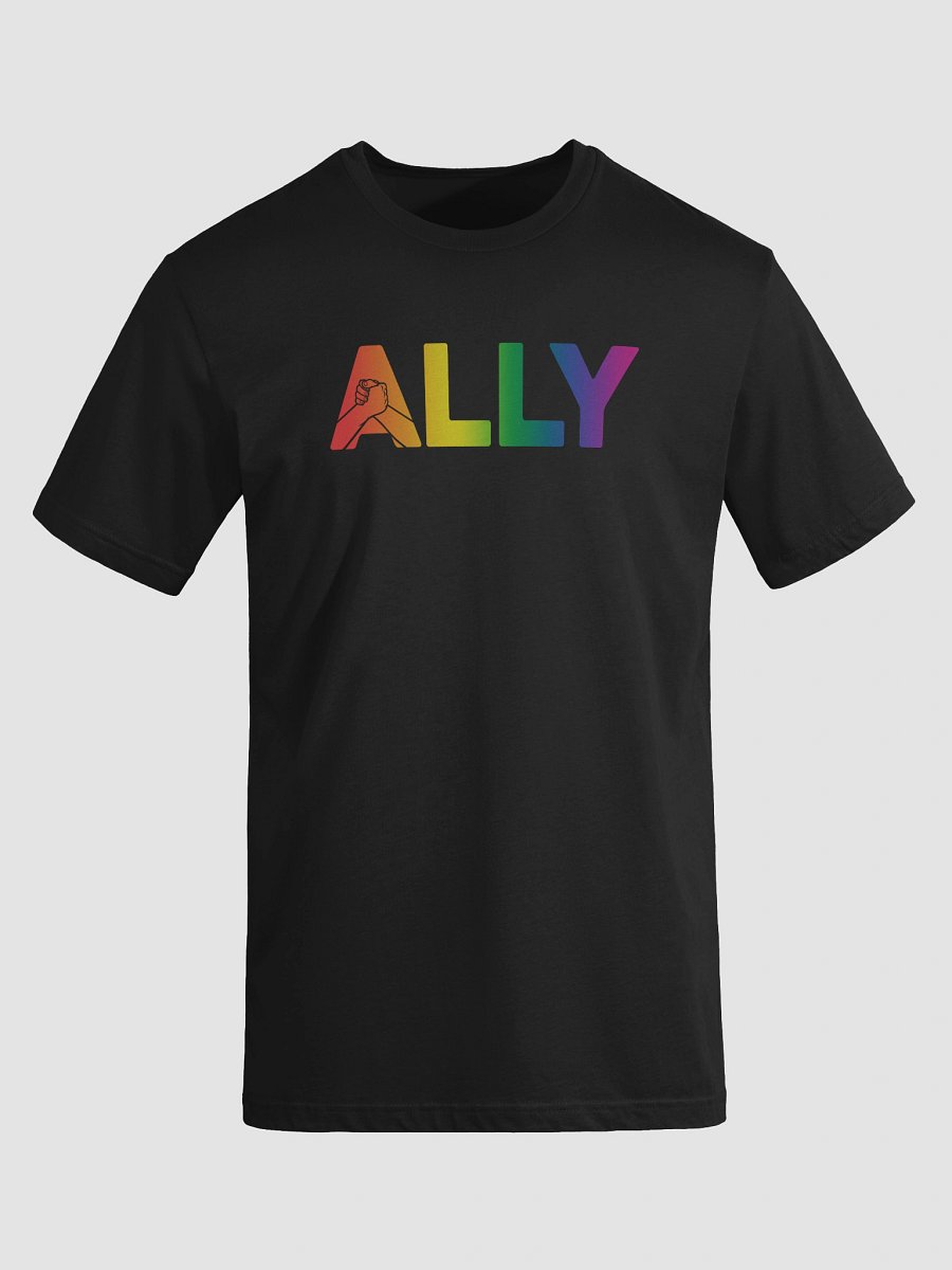 Ally Rainbow Connection Unisex Tee product image (57)
